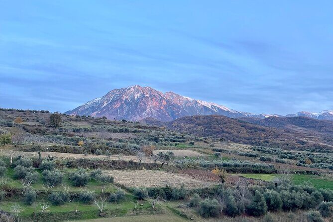 From Tirana: Berat UNESCO Site,Onufri Museum and Belshi Lake Tour - Is This Tour Right for You?