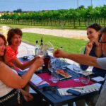 From Venice: Wine Tour in the Euganean Hills - The Itinerary: What You Can Expect