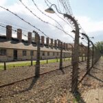 Full-Day Auschwitz and Birkenau Tour from Krakow with Private Transfer - The Realities & Potential Drawbacks