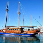 Full Day Fernandes Cruise with Lunch - Who Is This Tour Best For?