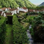 Full Day Hiking Faial da Terra (Min. 2 persons) - Why Choose This Tour? A Deep Dive