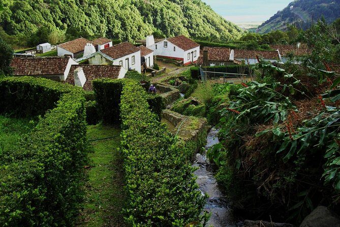 Full Day Hiking Faial da Terra (Min. 2 persons) - Why Choose This Tour? A Deep Dive