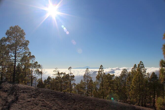 Full day Hiking Gran Canaria Peaks of Gran Canaria - Authentic Voices: What Reviewers Say