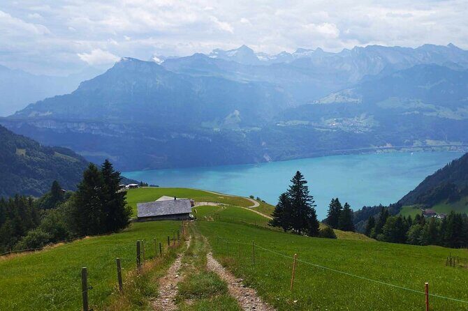 Full-Day Hiking Swiss Alps and Lake swim with Pick-up - Final Thoughts