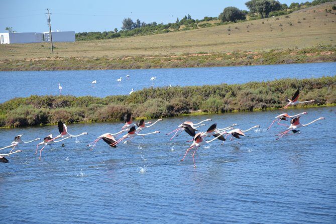 Full Day Moorish Trail Tour - The Real Experience: What Travelers Say