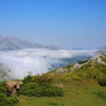 Full Day Private 4WD Tour from Santander to Picos de Europa. Excellent meals. - Practical Details and Value