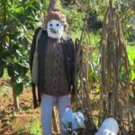 Full Day Private 4x4 Adventure in Madeira - The Experience: What Travelers Say