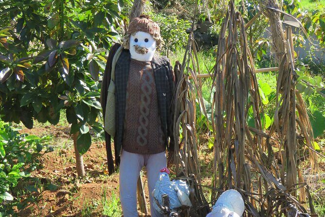 Full Day Private 4x4 Adventure in Madeira - The Experience: What Travelers Say