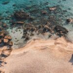 Full-Day Private Custom Tour to Elafonisi the Pink Sand Beach - What the Reviews Say: Authentic Perspectives