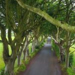 Full-Day Private Giant's Causeway Experience - The Practicalities: What’s Included and What’s Not