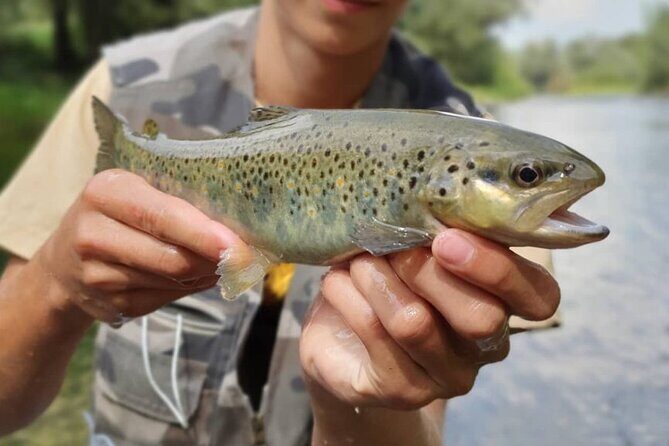 Full Day Private Guided Fishing Charter along the Isonzo Front - Who Will Love This Tour?