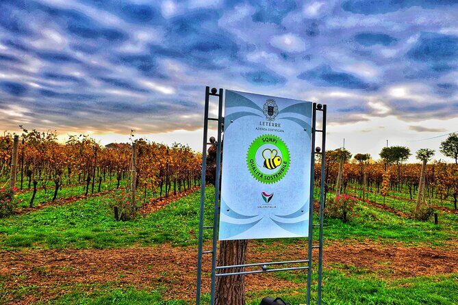 Full day Private Prosecco Tour, with certified Sommelier - A Few Considerations