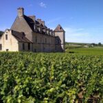 Full-Day Private Tour, 6 Premiers & Grands Crus, The Best of Burgundy - Final Thoughts: Is This Tour Right for You?