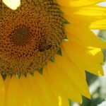 Full Day Private Tour from Avignon - Final Thoughts