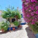 Full Day Private Tour in Western Algarve - Final Thoughts