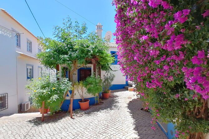 Full Day Private Tour in Western Algarve - Final Thoughts