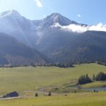 Full-Day Private Tour of Slovakia Treetop Walk and Zakopane - The Practical Side: What You Need to Know