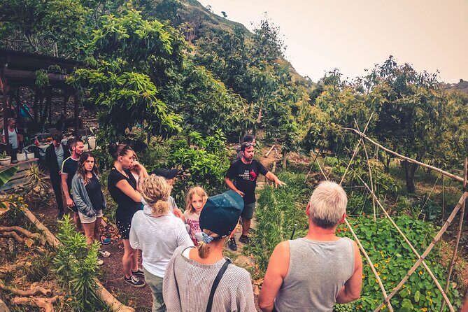 Full Day Rainforest Tour with Tasting and Swimming Time - Who Should Consider This Tour?
