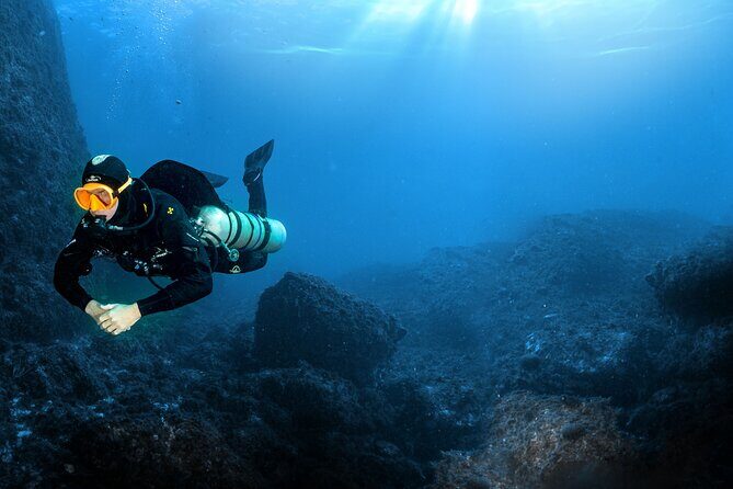 Full-Day Snorkeling and Guided Dive in the Calanques National Park from Marseille - Who Should Consider This Tour?