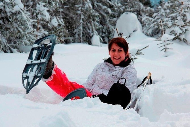 Full-Day Snowshoeing in High Tatras with Local Mountain Guide from Poprad - Who Is This Tour Best For?