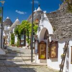 Full-day tour Alberobello & Locorotondo & Polignano a Mare & Bari - Transportation and Comfort