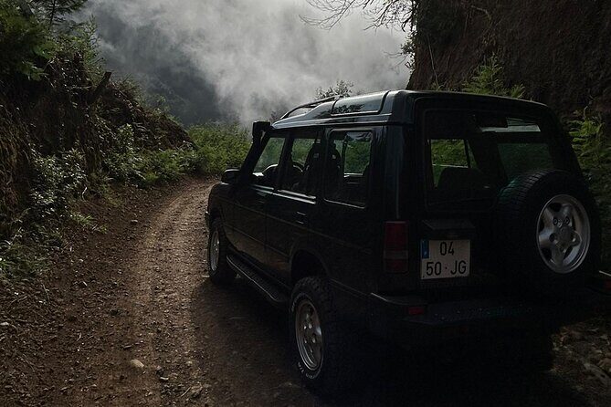 Full Day Tour to West Madeira Island - Why Travelers Love This Tour