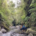 Funchal: Half-day Beginners Canyoning - What Can You Expect During the Tour?