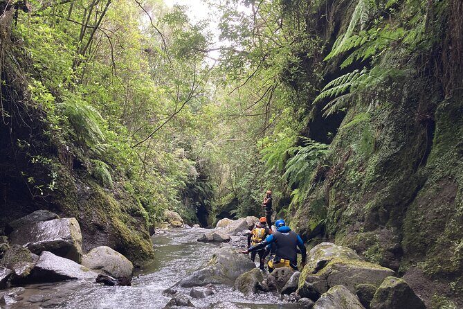 Funchal: Half-day Beginners Canyoning - What Can You Expect During the Tour?