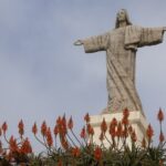 Funchal highlights 5h Private Tour in Madeira - What the Tour Includes and What Not