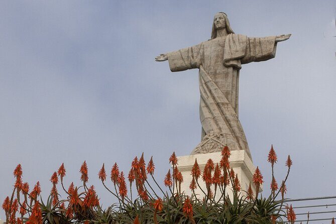 Funchal highlights 5h Private Tour in Madeira - What the Tour Includes and What Not