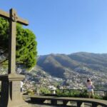 Funchal, Madeira Short Visit Shore Excursion - Who Is This Tour Best For?