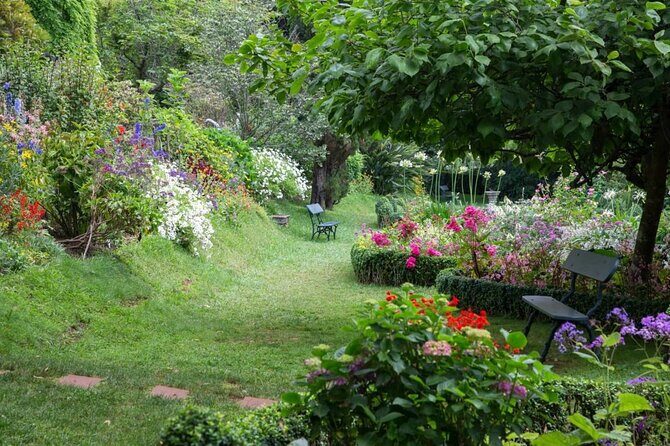 Funchal Old Town & Palheiro Gardens Private Tuk Tuk Tour - Who Will Love This Tour?