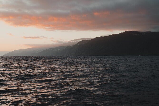 Funchal Sunset Sailing Private Tour - The Downsides and Considerations