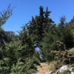 Fygou and Agia Irini Gorge Loop Half Day Hiking Tour - Authentic Traveler Insights