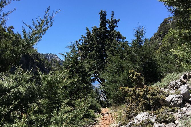 Fygou and Agia Irini Gorge Loop Half Day Hiking Tour - Authentic Traveler Insights