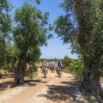 Gallipoli Inland and Surroundings Full-Day Bike Tour - What It Feels Like to Do the Tour
