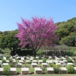 Gallipoli Tour from Eceabat, Canakkale - Who Should Consider This Tour?