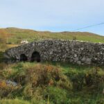 Galway to Connemara National Park Day Tour - The Experience on the Bus
