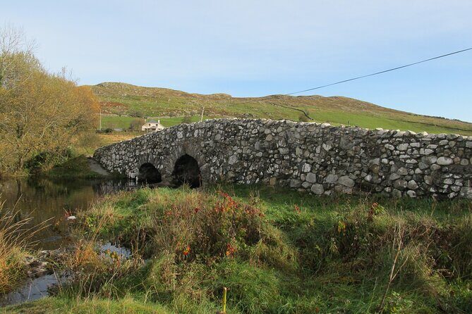 Galway to Connemara National Park Day Tour - The Experience on the Bus