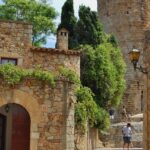 Game of Thrones: Medieval Girona Private Tour with Hotel pick-up - Additional Details and Practical Considerations