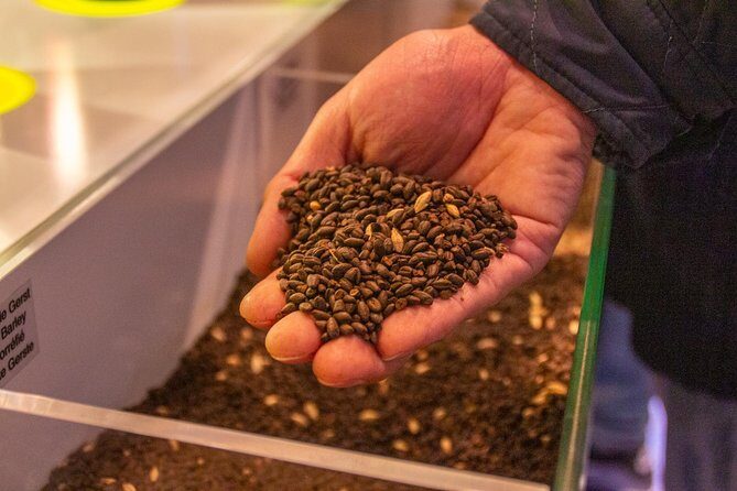 Gastronomic Tour: A Taste of Bruges - What Do People Say?