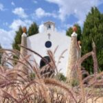 Gastronomic Wine tasting in Mértola, Alentejo - The Tasting Experience