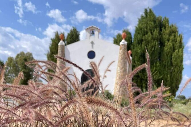 Gastronomic Wine tasting in Mértola, Alentejo - The Tasting Experience
