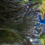 Giants Causeway & Antrim Coast Private Tour - Why Travelers Love This Tour