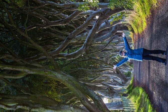 Giants Causeway & Antrim Coast Private Tour - Why Travelers Love This Tour