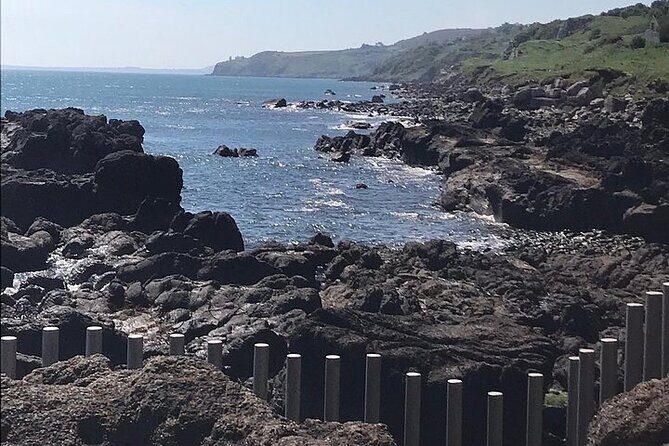 Giants Causeway ~ one stop tour - An In-Depth Look at the Giants Causeway Tour