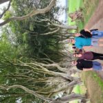 Giants causeway private tour 1 to 7 people - Practicalities and Value