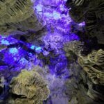 Gibraltar Day Trip from Seville - The Authentic Traveler Experience: What People Say