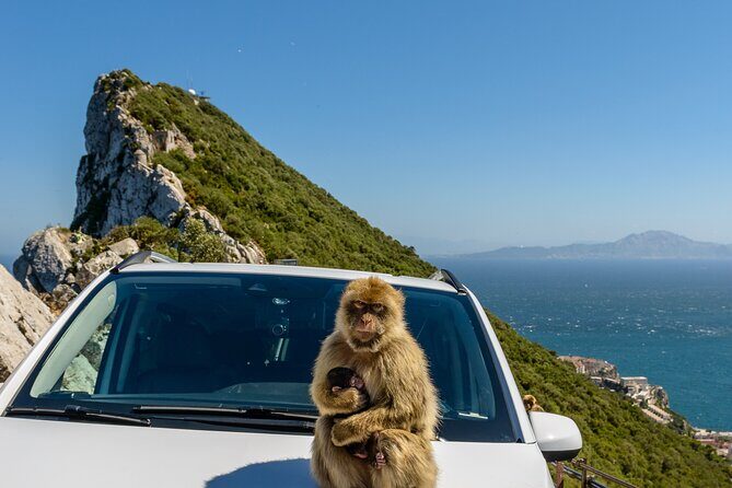 Gibraltar Full Day Tour Ultimate Tour 7hrs - Frequently Asked Questions