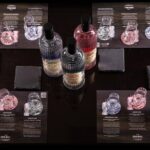 Gin Tasting Experience with a Perfect Serve - What You Can Expect from the Experience